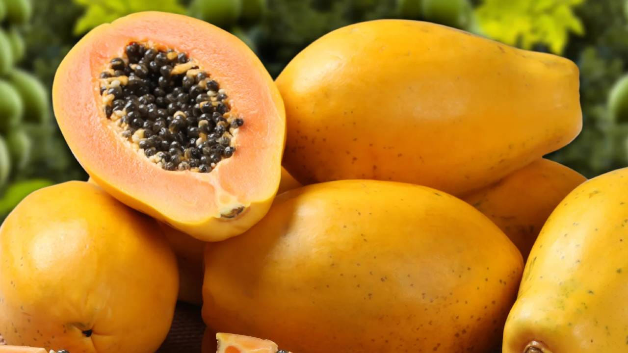 మరోవైపు బాగా పండిన బొప్పాయి మెత్తగా, తీపిగా ఉండటం వల్ల అందులో ఫ్రక్టోజ్ అధికంగా ఉంటుంది. ఇది రక్తంలో చక్కెర స్థాయిలను వేగంగా పెంచే అవకాశం ఉన్నందున, మధుమేహ బాధితులు పండిన పండును తినేటప్పుడు పరిమాణంపై నియంత్రణ కలిగి ఉండటం చాలా అవసరం.

