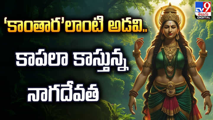 ‘కాంతార’లాంటి అడవి.. కాపలా కాస్తున్న నాగదేవత ‘కాంతార’లాంటి అడవి.. కాపలా కాస్తున్న నాగదేవత