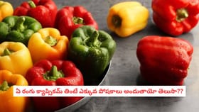 ఏ రంగు క్యాప్సికమ్ తింటే ఎక్కువ పోషకాలు అందుతాయో తెలుసా??