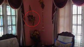 ఇల్లు క్లీన్ చేస్తుండగా వరండా మూలన ఏవో చప్పుళ్లు..