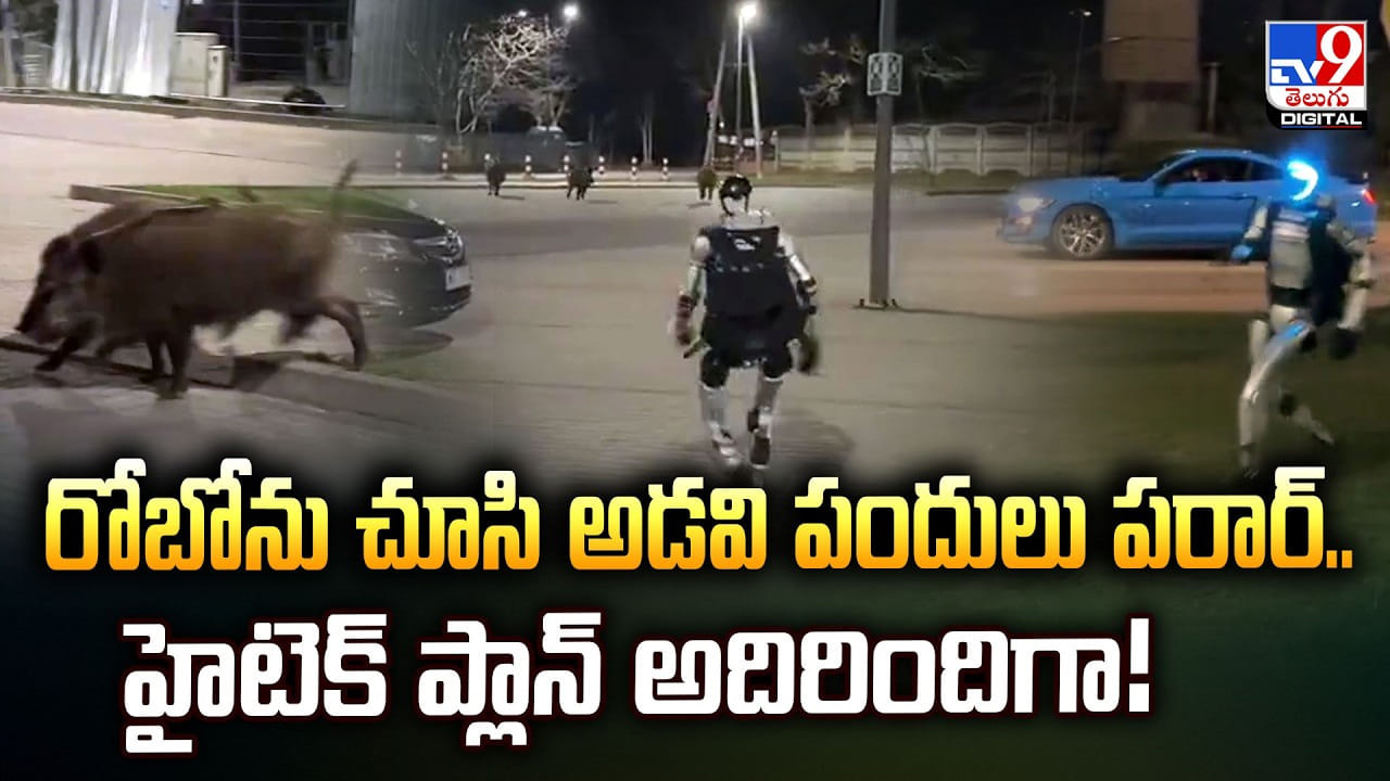రోబోను చూసి అడవి పందులు పరార్.. హైటెక్‌ ప్లాన్‌ అదిరిందిగా
