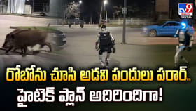 రోబోను చూసి అడవి పందులు పరార్.. హైటెక్‌ ప్లాన్‌ అదిరిందిగా