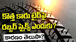 బంగారం కంటే ఖరీదైన ఈ సముద్రపు నిధి గురించి మీకు తెలుసా? అయితే, ఇదో అసహ్యకరమైన పదార్థం!