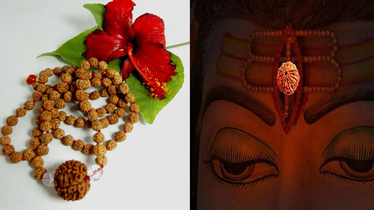 రుద్రాక్ష మాల ధరించడం వల్ల లభించే ప్రయోజనాలు.. 

భక్తుల విశ్వాసం ప్రకారం రుద్రాక్ష ధరించడం వల్ల: మానసిక ప్రశాంతత, ఏకాగ్రత పెరుగుతుంది
ఒత్తిడి తగ్గడానికి సహాయపడుతుంది. ఆధ్యాత్మిక చింతన పెరుగుతుంది. పనులు, వృత్తి, వ్యాపారాల్లో స్థిరత్వం పొందడంలో తోడ్పడుతుంది. ప్రతికూల శక్తుల ప్రభావం తగ్గుతుందని నమ్మకం. శివ అనుగ్రహం లభిస్తుందని భావిస్తారు. శారీరకంగా కూడా కొంతమేర ఆరోగ్య సమతుల్యతకు సహాయపడుతుందని చెప్పబడుతుంది. 

(Disclaimer: ఇక్కడ అందించిన సమాచారం జ్యోతిష్యం, సాధారణ నమ్మకాల ఆధారంగా మాత్రమే అందించబడింది. ఈ సమాచారం ఖచ్చితంగా నిజం లేదా శాస్త్రీయంగా నిర్ధారితమైన సమాచారం అని భావించకండి. వ్యక్తిగత నిర్ణయాలు తీసుకునే ముందు సంబంధిత నిపుణులను సంప్రదించడం మంచిది.)