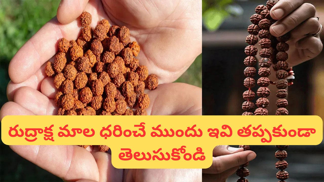 Rules for Wearing a Rudraksha Mala:  సనాతన ధర్మంలో రుద్రాక్షను శివుని స్వరూపంగా భావిస్తారు. పురాణాల ప్రకారం, రుద్రాక్షలు శివుని కన్నీటి బిందువుల నుంచి ఉద్భవించాయని చెబుతారు. అందుకే వీటిని ధరించడం వల్ల శివుని అనుగ్రహం లభిస్తుందని భక్తుల విశ్వాసం.  అయితే రుద్రాక్ష మాలను ధరించేటప్పుడు కొన్ని శాస్త్రోక్త నియమాలు పాటించడం ముఖ్యమని చెప్పబడుతుంది.
