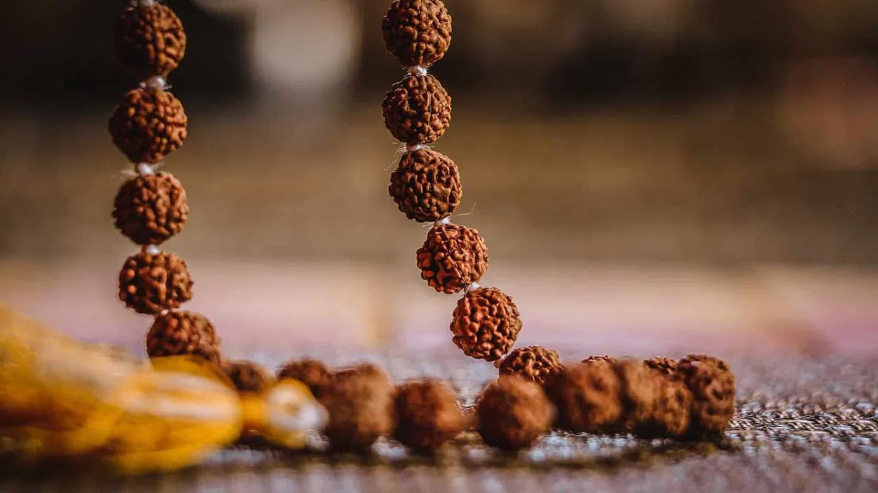 
రుద్రాక్ష మాల ధరించే ముఖ్య నియమాలు..

రుద్రాక్ష పవిత్రతను కాపాడేందుకు కొన్ని ఆచార నియమాలు పాటించడం సూచించబడుతుంది. 
రుద్రాక్షను సాధారణంగా ఎరుపు లేదా పసుపు రంగు దారంలో గుచ్చడం మంచిదని భావిస్తారు.  
అపవిత్రమైన చేతులతో మాలను తాకకూడదు. 
మద్యం, మాంసాహారం వంటి వాటికి దూరంగా ఉండడం ఆధ్యాత్మిక పరంగా శ్రేయస్కరం. 
శవ సంస్కారాలు లేదా స్మశానాల వంటి    ప్రదేశాలకు వెళ్లేటప్పుడు మాలను తీసివేయడం ఆచారం. రుద్రాక్షను శుభ్రమైన స్థలంలో మాత్రమే ఉంచాలి.
