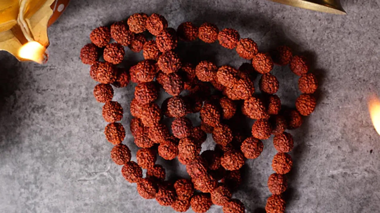 
రుద్రాక్ష మాలను ధరించే విధానం.. 

రుద్రాక్షను కేవలం కొనుగోలు చేసి నేరుగా ధరించడం కాకుండా, శుద్ధి చేసి ఆచారపూర్వకంగా ధరించడం మంచిదని శాస్త్రాలు సూచిస్తాయి. బ్రహ్మ ముహూర్తంలో లేచి స్నానం చేయాలి. శుభ్రమైన వస్త్రాలు ధరించాలి. శివుని ప్రార్థన చేయాలి. గంగాజలం లేదా పంచామృతంతో రుద్రాక్షను శుద్ధి చేయాలి. 
శివలింగం లేదా శివ విగ్రహానికి సమర్పించాలి. 
కొంతసేపు శివుని ముందు ఉంచి మంత్ర జపం చేయాలి. అనంతరం భక్తిశ్రద్ధలతో ధరించాలి.
