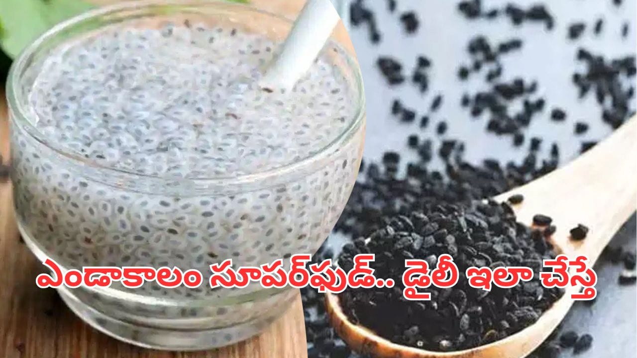 వావ్.. సబ్జా గింజలు ఇలా తీసుకుంటే శరీరంలో జరిగేదిదే.. ఆ సమస్యల ఊసే ఉండదు..