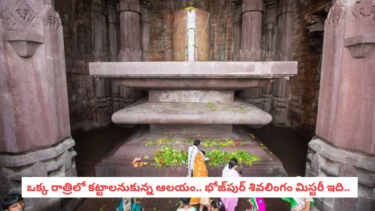 Bhojpur Shiva Lingam: ఒక్క రాత్రిలో కట్టాలనుకున్న ఆ ఆలయం ఎందుకు ఆగిపోయింది? భోజ్పుర్ శివలింగం మిస్టరీ
