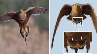 AC కూలింగ్ సరిగ్గా రావడం లేదని టెక్నిషియన్‌ను పిలిచారు.. ఓపెన్ చేయగా.. ఆశ్చర్యకరంగా