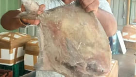 అంతర్వేది సముద్ర తీరంలో జాలర్లకు ఏం చిక్కిందో చూడండి..