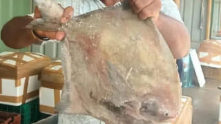 Andhra Pradesh: రైతులకు ఏపీ ప్రభుత్వం అదిరే శుభవార్త.. అమల్లోకి కొత్త నిర్ణయం.. ఇకపై నో టెన్షన్