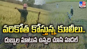 వరికోత కోస్తున్న కూలీలు..దుబ్బుల మాటున ఉన్నది చూసి హడల్‌