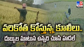 పోలీస్ స్టేషన్ సమీపంలోనే రెచ్చిపోయిన దొంగలు.. ఏం చేశారో చూడండి