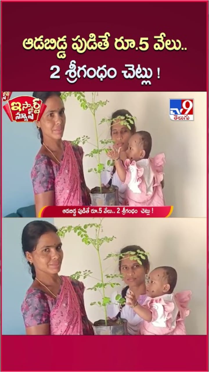 Girl Child: ఆడబిడ్డ పుడితే రూ.5 వేలు.. 2 శ్రీగంధం చెట్లు