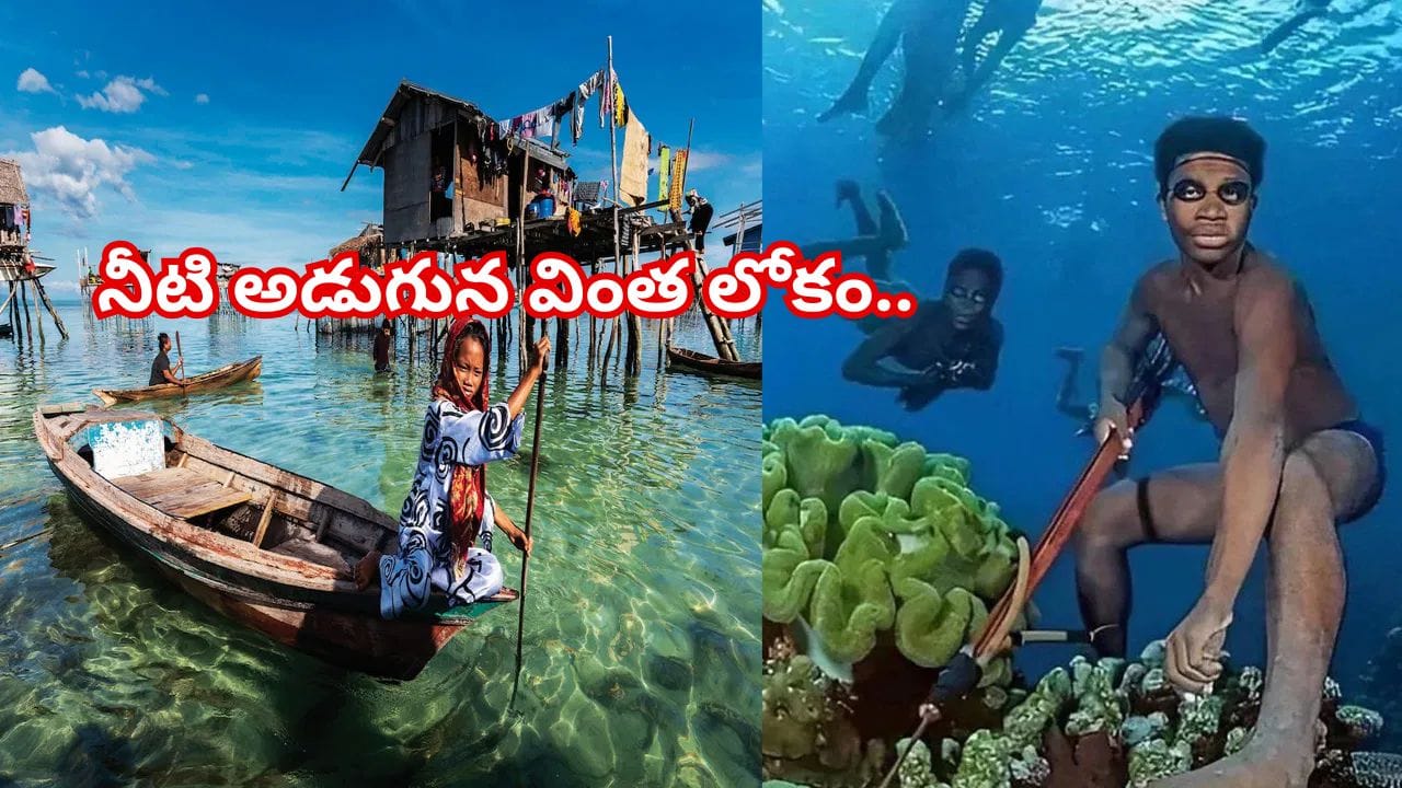 సముద్రం మీద ఇల్లు.. నీటి అడుగున వింత లోకం..వీళ్లు మనుషులు కాదు.. అతీత శక్తులు!?