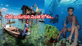 సముద్రం మీద ఇల్లు.. నీటి అడుగున వింత లోకం..వీళ్లు మనుషులు కాదు..