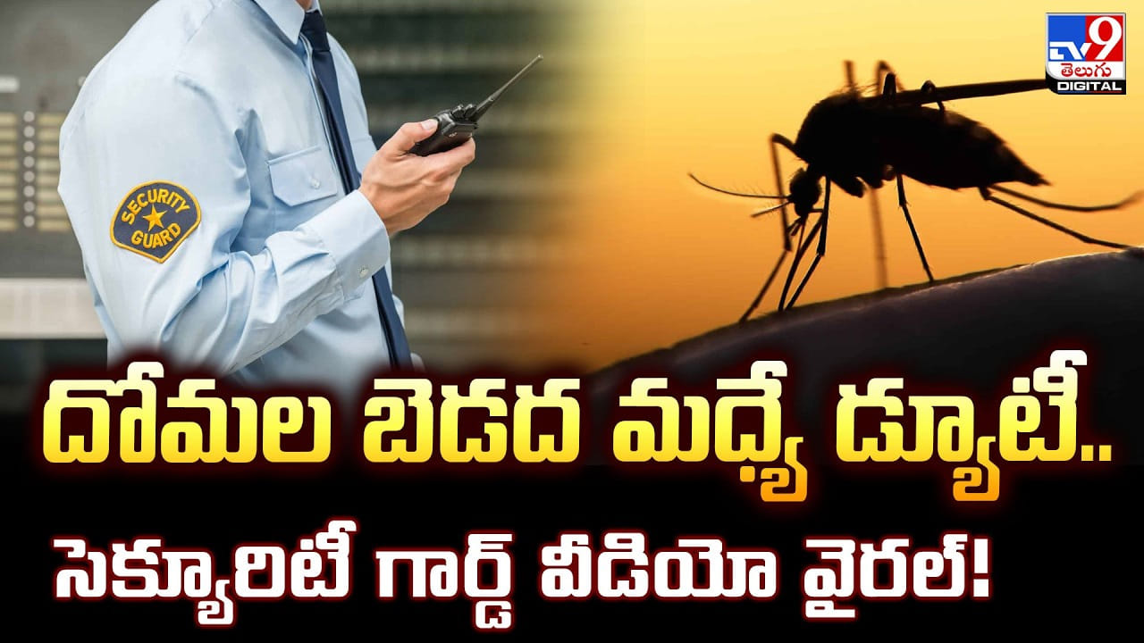 దోమల బెడద మధ్యే డ్యూటీ.. సెక్యూరిటీ గార్డ్ వీడియో వైరల్!