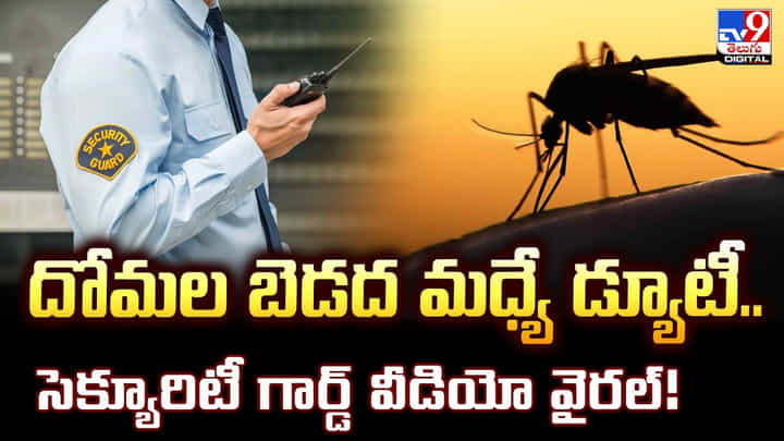 దోమల బెడద మధ్యే డ్యూటీ.. సెక్యూరిటీ గార్డ్ వీడియో వైరల్! దోమల బెడద మధ్యే డ్యూటీ.. సెక్యూరిటీ గార్డ్ వీడియో వైరల్!