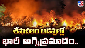 శేషాచలం అడవుల్లో భారీ అగ్నిప్రమాదం..