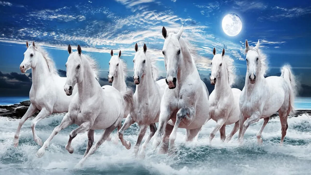 ఏడు గుర్రాల ఫొటో ఇంటిలో ఉండటం చాలా మంచిది. ఇది ఇంటిలో ఉన్న ప్రతికూలతలను తొలిగించి సానుకూలతను పెంచుతుంది. ఇది ఇంటిలో ఉండటం కూడా చాలా శుభప్రదం. ఆర్థిక సమస్యలు, అనారోగ్య సమస్యలు, వాస్తు దోషం ఇలాంటివన్నీ కూడా తొలిగిపోయి, ఇంటిలో ఆనందంకర వాతావరణం చోటు చేసుకుంటుందని చెబుతుంటారు, వాస్తు శాస్త్ర నిపుణులు.