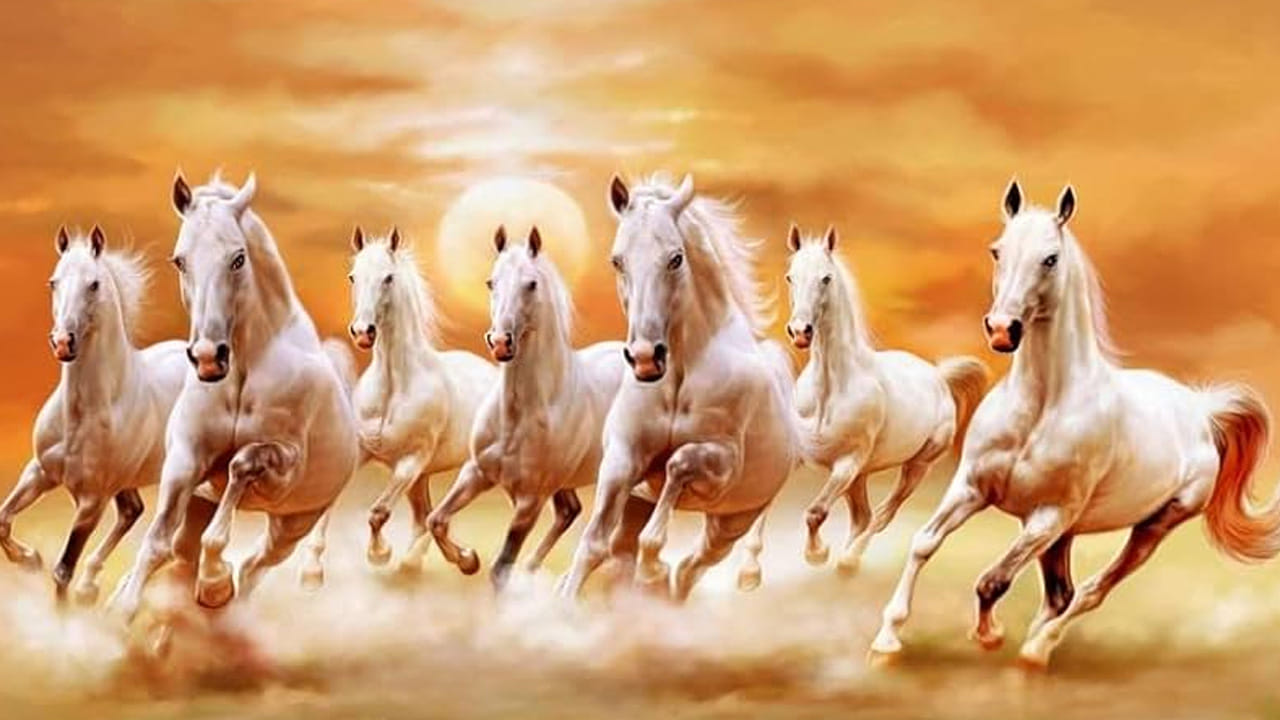 అయితే వాస్తు ప్రకారం, ఇంటిలో పెట్టుకునే ఏ వస్తువు అయినా సరే సరైన దిశలో పెట్టుకున్నప్పుడే అది మంచి ఫలితాలను ఇస్తుంది. లేకపోతే దాని ప్రభావం అనేక ఇబ్బందులకు కూడా కారణం కావచ్చు. అందువలన అదృష్టాన్ని తీసుకొచ్చే ఏడు గుర్రాల ఫొటో కూడా సరైన దిశలో పెట్టినప్పుడే మంచి ఫలితాలను ఇస్తుంది. అయితే వాస్తు శాస్త్రం ప్రాకారం దీనిని ఏ దిశలో పెట్టడం మంచిదో ఇప్పుడు తెలుసుకుందాం.