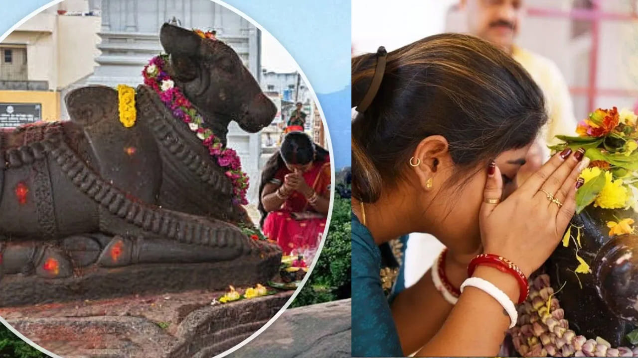 శివాలయాలకు వెళ్లినప్పుడు భక్తులు తమ కష్టాలను, కోరికలను నంది చెవిలో నివేదిస్తుంటారు. తరచుగా ప్రార్థనలు చేసినా, తమ కోరికలు నెరవేరడం లేదని చాలామంది బాధపడుతుంటారు. దీనికి కారణం భక్తిలో లోపం కాకపోవచ్చు, కానీ కోరికలు తెలియజేసే పద్ధతిలో లోపం ఉండవచ్చు. ఆ మహాదేవుడైన పరమశివుడికి మీ ప్రార్థనలు చేరాలంటే, నందీశ్వరుడి ద్వారా సరైన విధానంలో నివేదించడం అత్యవసరం. నంది అనుమతి లేకుండా మీ మాటలు శివుడికి చేరవని ఆధ్యాత్మిక గ్రంథాలు చెబుతున్నాయి. సరైన పద్ధతిని పాటించినట్లయితే, అప్పుల బాధల నుండి విముక్తి, అనారోగ్యం నుండి ఉపశమనం, వృత్తిలో అభివృద్ధి లేదా వ్యక్తిగత సమస్యల పరిష్కారం వంటి కోరికలు తప్పకుండా నెరవేరుతాయి. ఈ పద్ధతిని అనుసరించడం ద్వారా మీ జీవితంలో సానుకూల మార్పులు వస్తాయని విశ్వసిస్తారు.