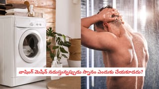Summer Dehydration: మండే ఎండల్లో నీరసించిపోతున్నారా? ఈ పండ్లు తిన్నారంటే రోజంతా ఫుల్ ఖుష్‌