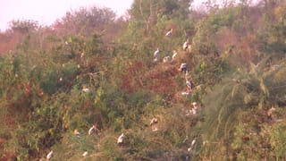 Andhra Pradesh: ఇంటి వద్దకే రేషన్.. ఏపీ ప్రభుత్వం మరో కొత్త పథకం.. వారందరికీ పండుగే..