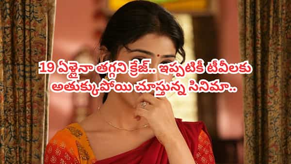 Cinema : 19 ఏళ్ల క్రితం విడుదలైన సినిమా.. హీరో చనిపోవడంతో ఫ్యాన్స్ షాక్.. అయినా ఆ ఒక్క ట్విస్టుతో బ్లాక్ బస్టర్ హిట్టు..