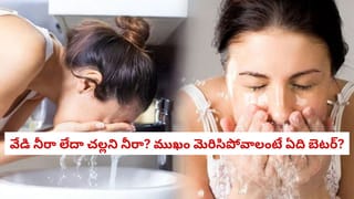 Fridge Storage: మిగిలిపోయిన అన్నం, చపాతీ, పాలు ఫ్రిజ్‌లో ఎంతకాలం నిల్వ ఉంటాయి?