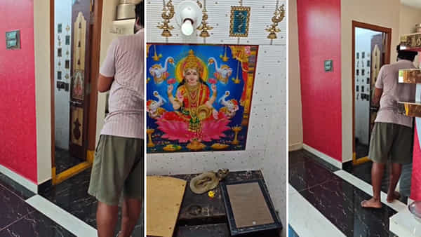 Viral: పూజ గదిలోకి వెళ్తే.. సాక్షాత్తూ నాగరాజే దర్శనమిచ్చాడు.. మామూలు సీన్ కాదు మావ..