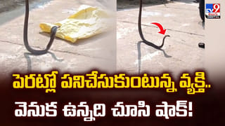 ఏపీ తొలి మహిళా అంబులెన్స్ డ్రైవర్‌గా  కల్పన రికార్డు