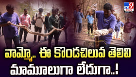 వామ్మో.. ఈ కొండచిలువ తెలివి మామూలుగా లేదుగా