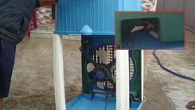 కూలర్‌ నుంచి ఎప్పుడూ వినని సౌండ్.. ఏంటా అని పరీక్షగా చూడగా..