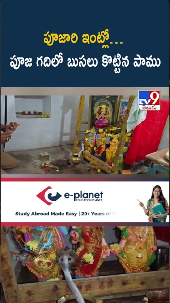 Snake Video: వామ్మో.. పూజ గదిలో బుసలు కొట్టిన నాగుపాము