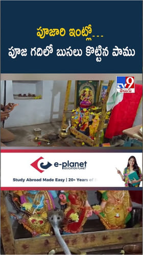 Snake Video: వామ్మో.. పూజ గదిలో బుసలు కొట్టిన నాగుపాము