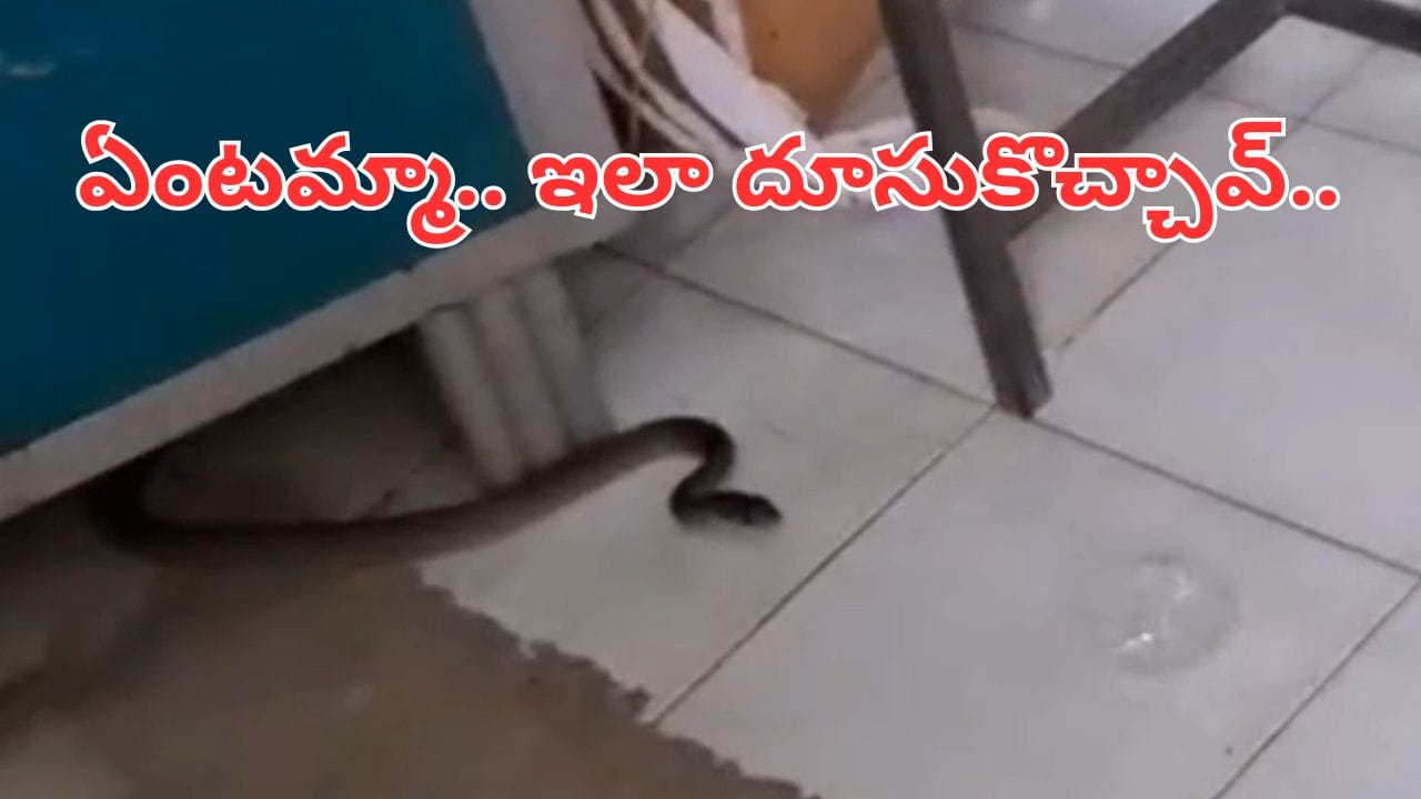 అమ్మ బాబోయ్.. ఎవరి పనుల్లో వారుంటే ఒక్కసారే దూసుకొచ్చింది.. వీడియో చూస్తే గుండె జల్లుమానాల్సిందే..