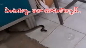 అమ్మ బాబోయ్.. ఒక్కసారే దూసుకొచ్చింది.. పరుగులు తీసిన రోగులు..