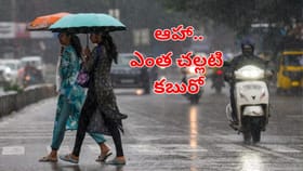 మండే ఎండల్లో చల్లటి కబురు.. ఈ సారి ముందుగానే రుతుపవనాలు