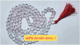 ఈ స్ఫటిక మాల ఒక్కటి ధరించండి.. ఐశ్వర్యం, ఆనందం మీ ఇంటికే వస్తాయి!