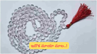 Numerology: ఈ తేదీన పుట్టారా? డబ్బు మీ వెంటే పరుగెడుతుంది.. షాకింగ్ నిజం!