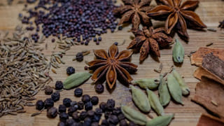 Summer Vacation : భారతదేశపు మినీ స్విట్జర్లాండ్.. బడ్జెట్ లో స్వర్గాన్ని చూడాలంటే.. ఈ టూర్ ప్లాన్ చేయండి!