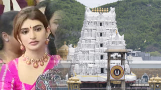 PV Sindhu: ఈ సినిమా చాలా స్పెషల్‌గా అనిపించింది.. టాలీవుడ్ హీరో మూవీపై పీవీ సింధు ప్రశంసల వర్షం