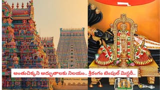 Spiritual Hacks: ఆర్థిక కష్టాలు, దిష్టి దోషాలా? నిమ్మకాయ పరిహారంతో అన్ని సమస్యలకు చెక్ పెట్టండిలా!