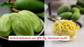 మామిడి తురుమును ఇలా స్టోర్ చేస్తే.. ఏడాదంతా పండగే..