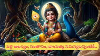 పరశురామ ద్వాదశి స్పెషల్! ఈ ఒక్కరోజు ఇలా చేస్తే పిల్లల ఆనందం గ్యారంటీ.. అసలు రహస్యం ఇదే!