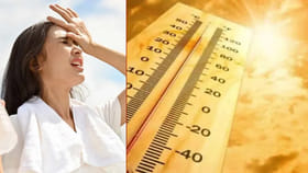 ఎండాకాలం ఈ 3 పదార్థాలు తింటే విషం తిన్నట్లే..