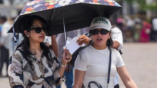 ఖరీదైన క్రీములు వద్దు.. ఈ పండు గుజ్జుతో ఫేస్‌ప్యాక్ చేసి రాసుకుంటే..చర్మం మిళమిళ మెరవాల్సిందే