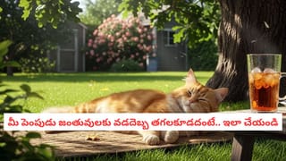 Hygiene Tips: మెరిసే కొత్త బట్టల వెనుక దాగి ఉన్న రసాయనాల ముప్పు.. ఉతకకుండా వేసుకుంటే ఈ సమస్యలు తప్పవు!